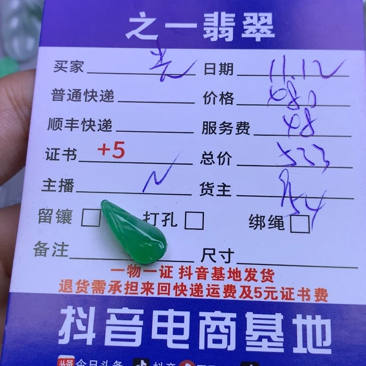 颈饰未镶嵌翡翠光*翼