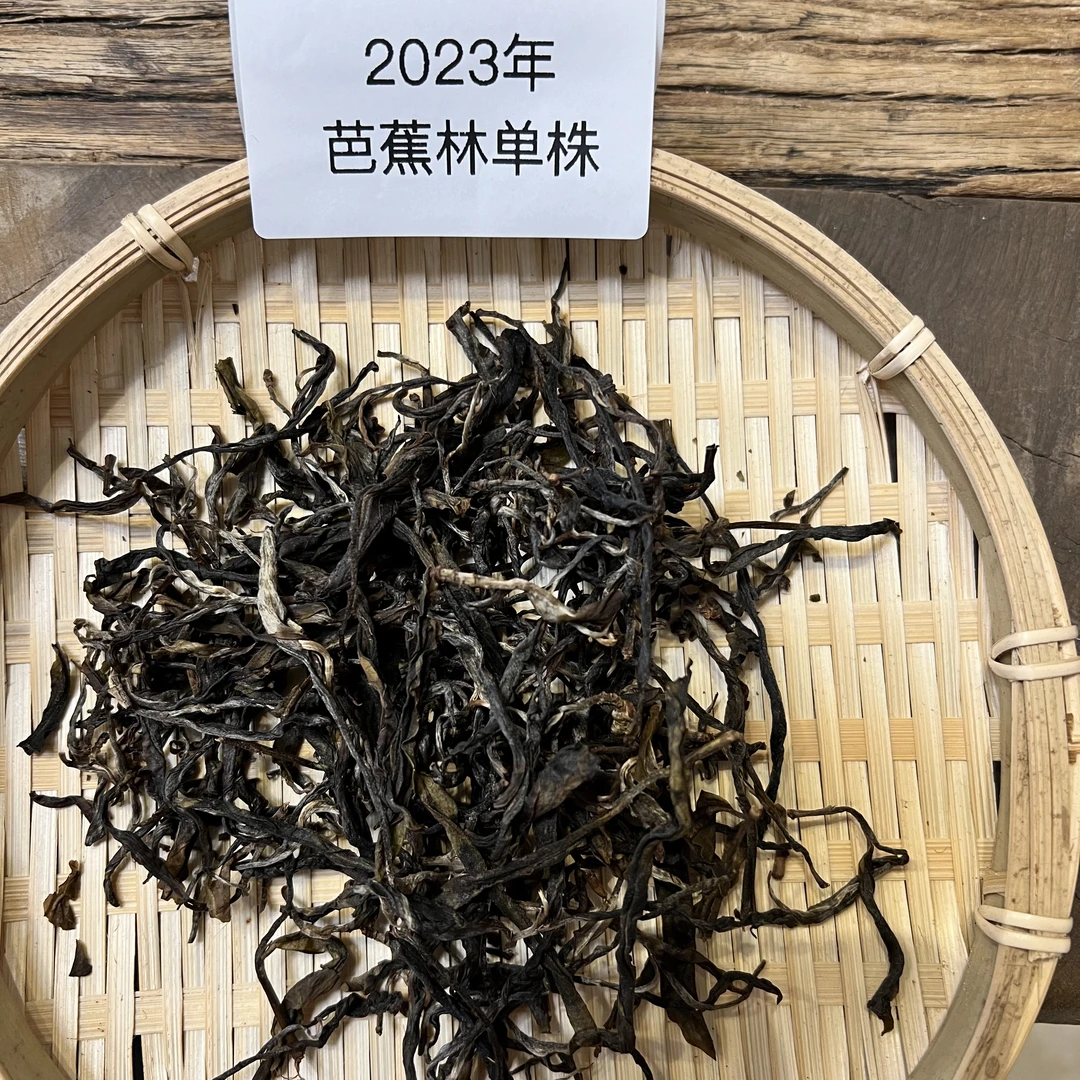 2023年芭蕉林单株