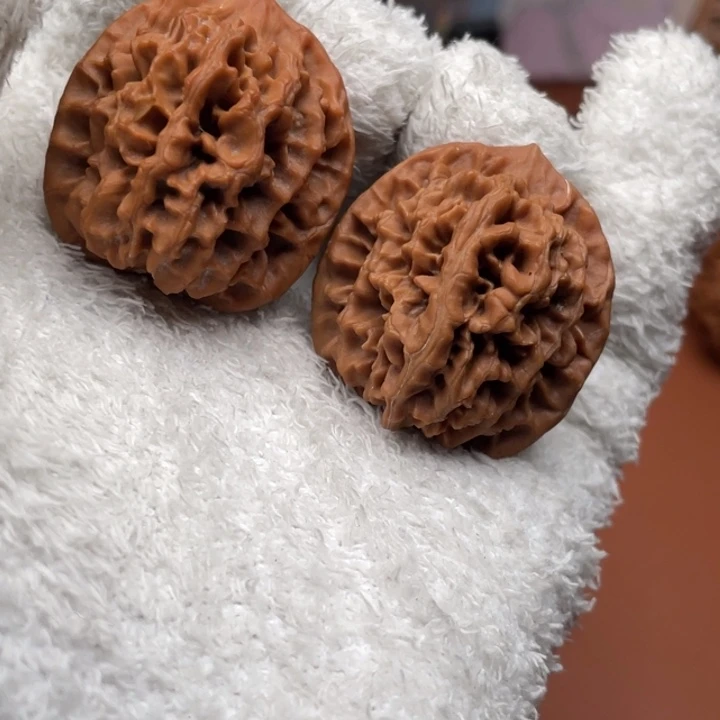 林***～秦核等人的故事也在