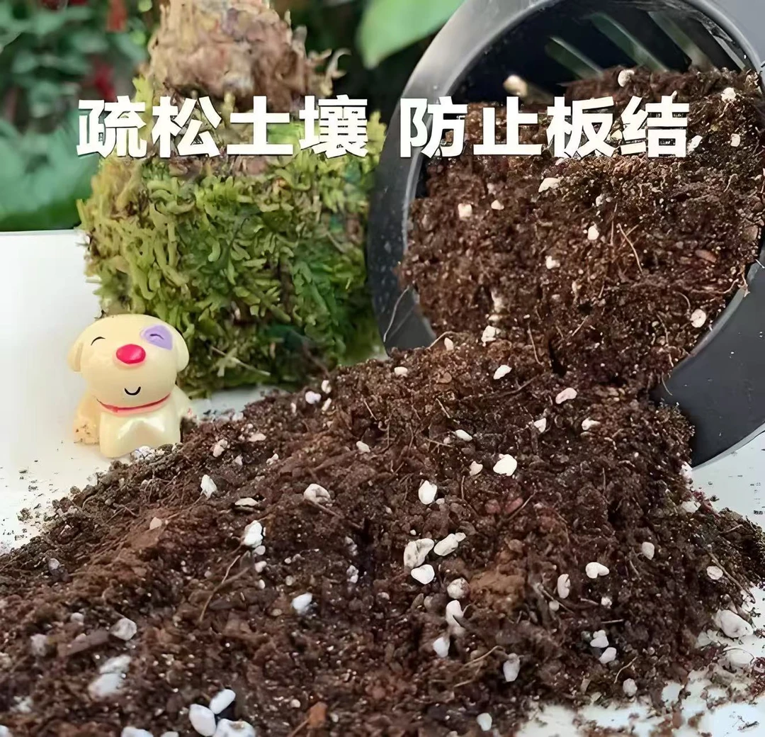 腐殖土加珍珠岩营养土兰花专用土