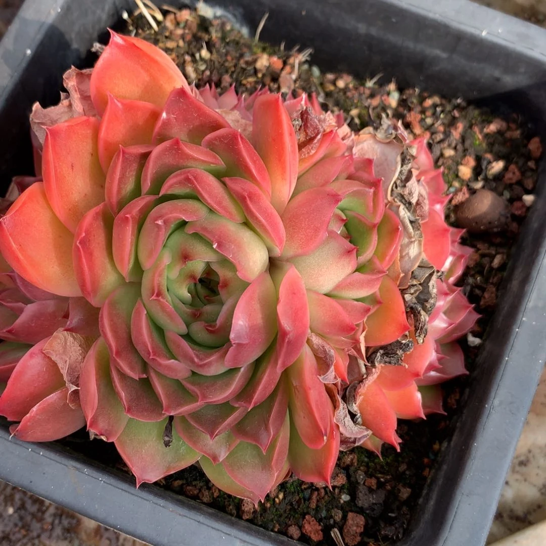 319新年快乐发发发