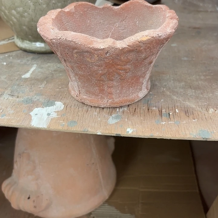 许纯的花房 9元 福利盆