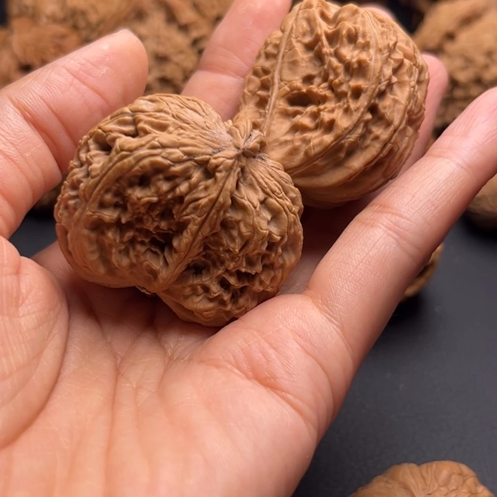 鲁**吃白狮子半壁核桃哈哈哈哈哈哈哈