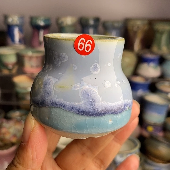 满 28包邮，凑单凑单66口4