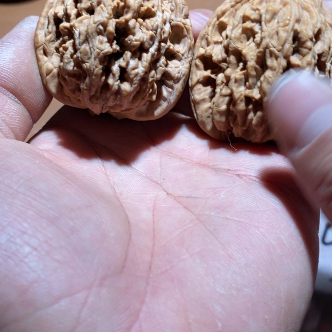 核桃手串/手链505