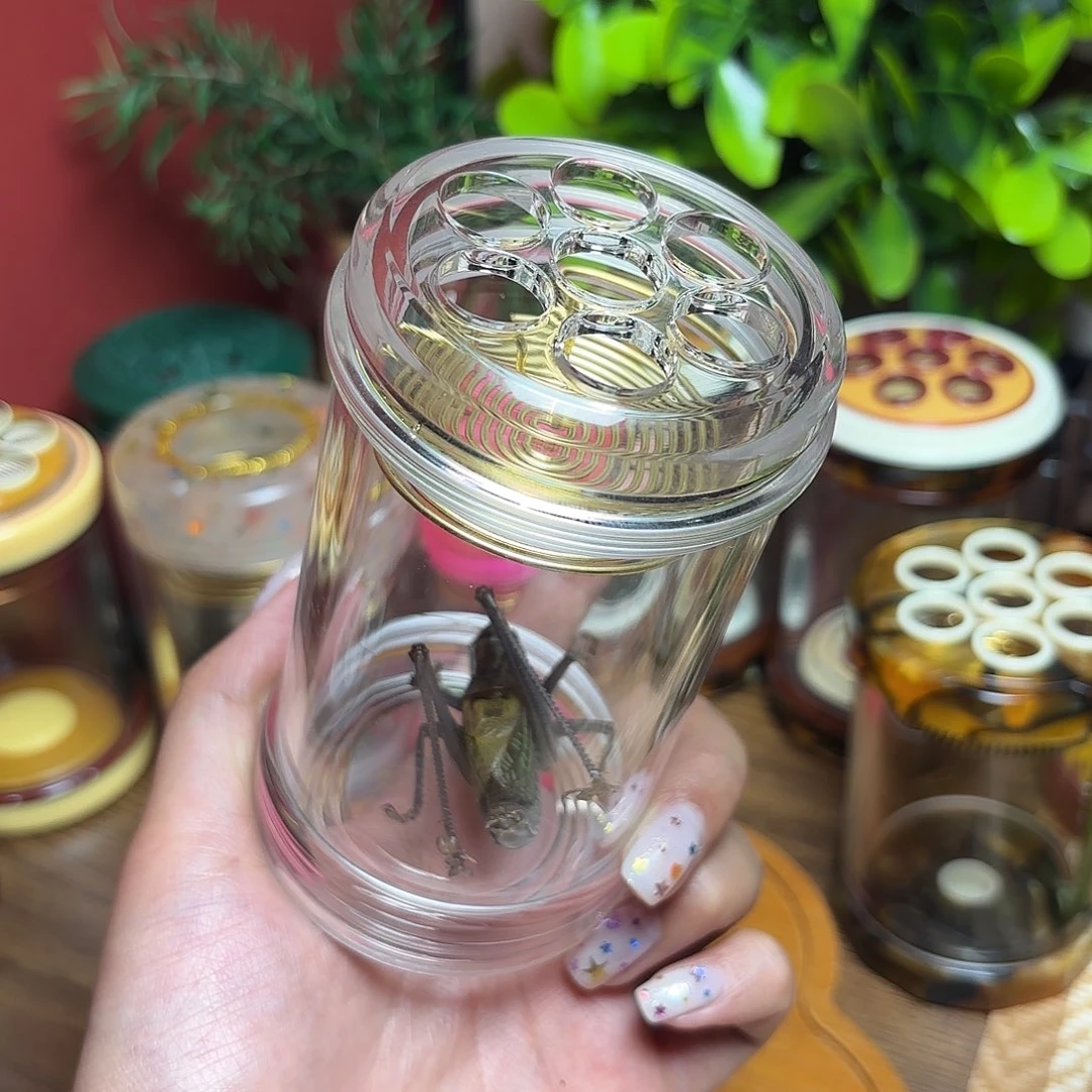 一***头蝈蝈蝈蝈福福价格