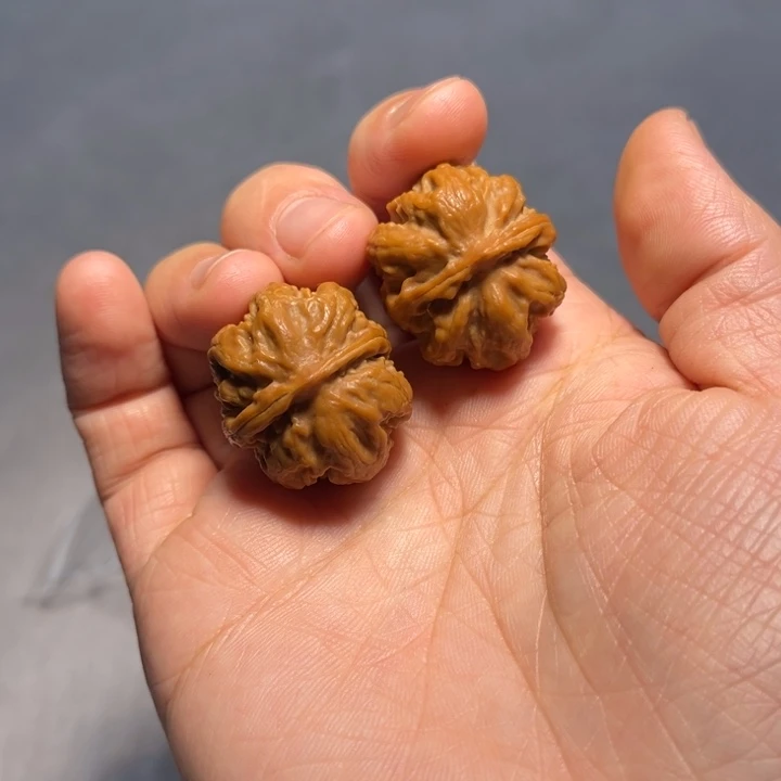 文玩核桃把件霸王龙8389