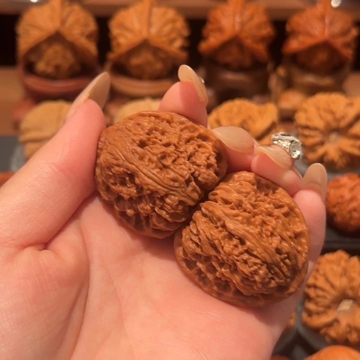 涿鹿老树南疆35精品