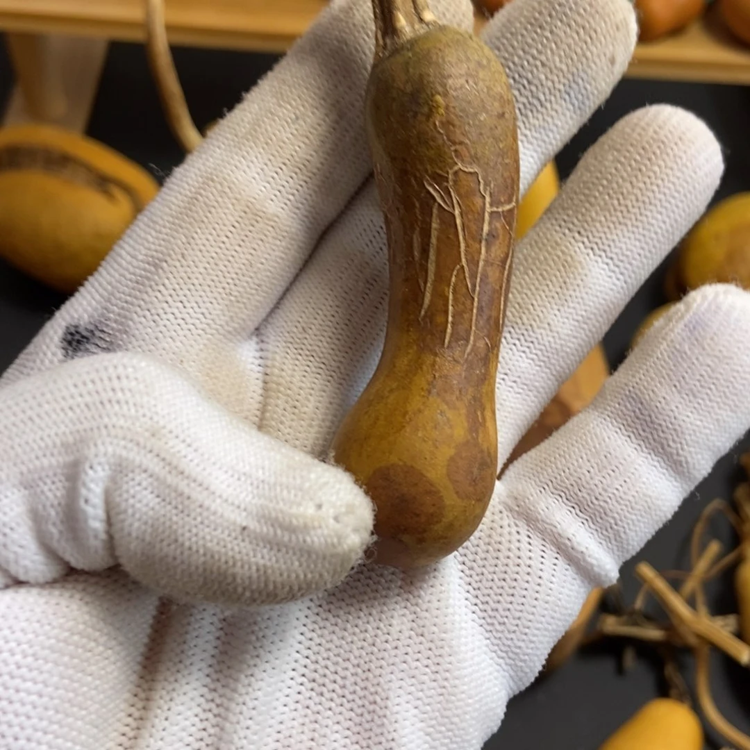 ✨**✨葫芦葫芦真的