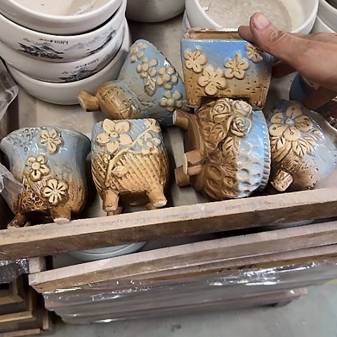 6个····全是福利····