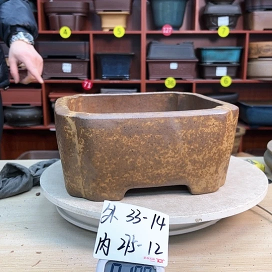 红陶用****9紫砂花盆里放的东西