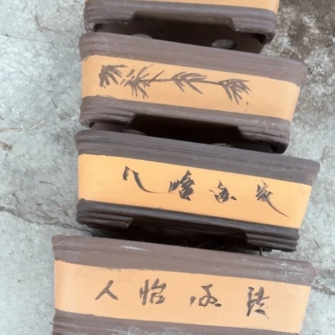 50-4。     23-10。
