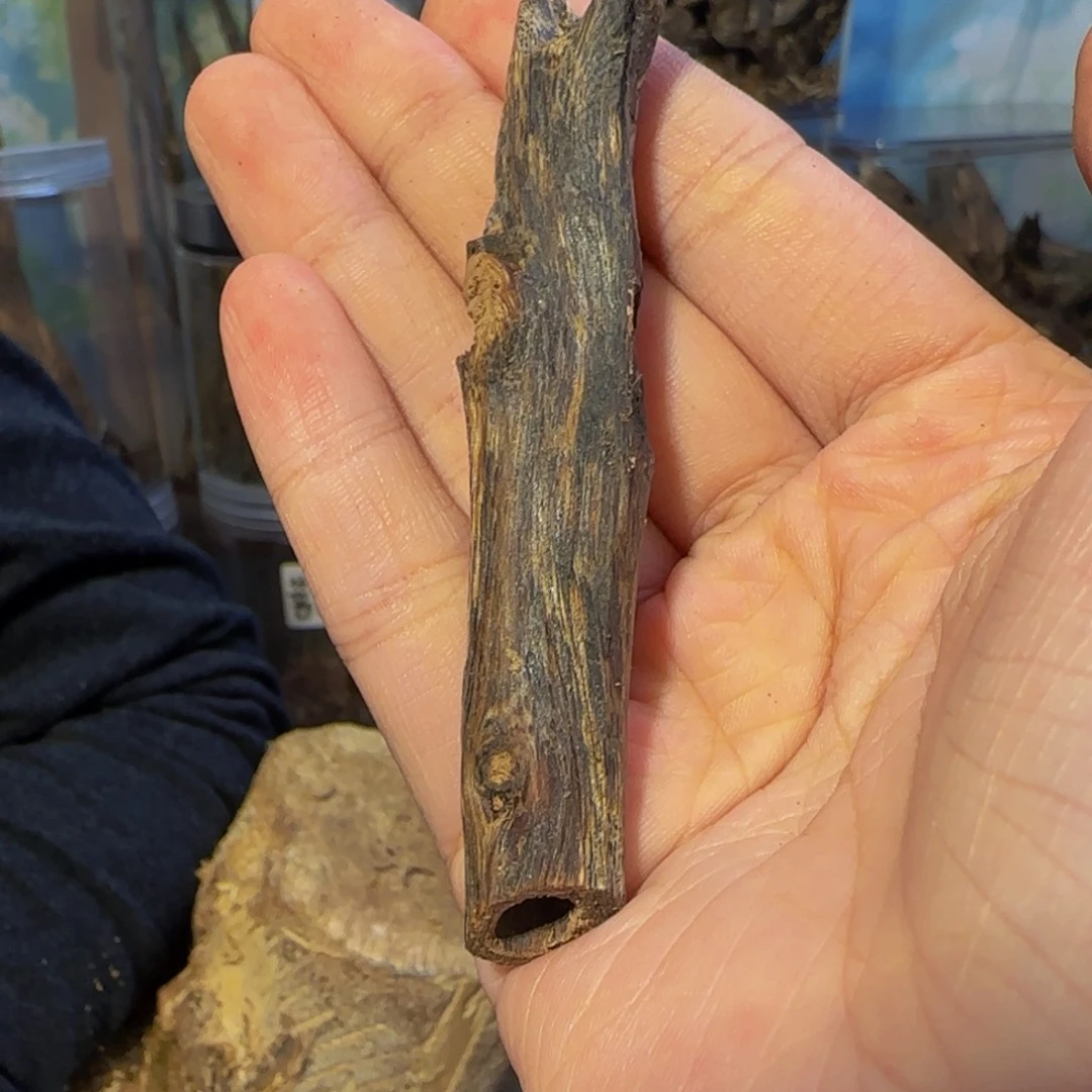 沉香碎屑沉香5.9克40紫棋