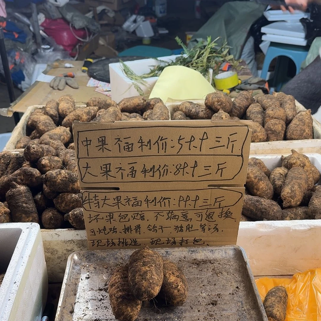 中国大陆福利特大果3斤