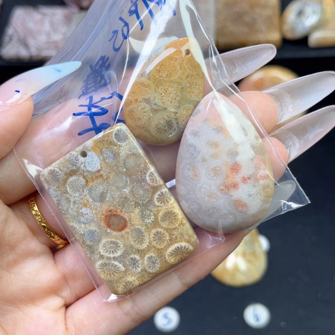 硅化珊瑚（珊瑚玉）吊坠未镶嵌