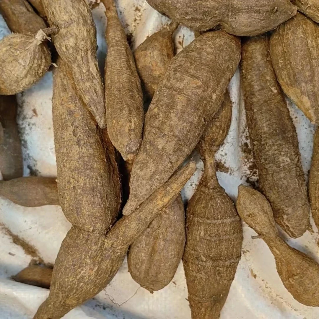 【牛大力】贵州深山牛大力切片