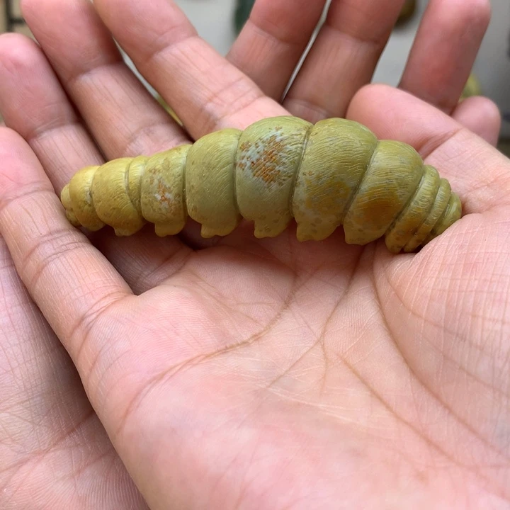 【闪购商品】岫岩河磨玉（透闪石质玉）手把未镶嵌我**一