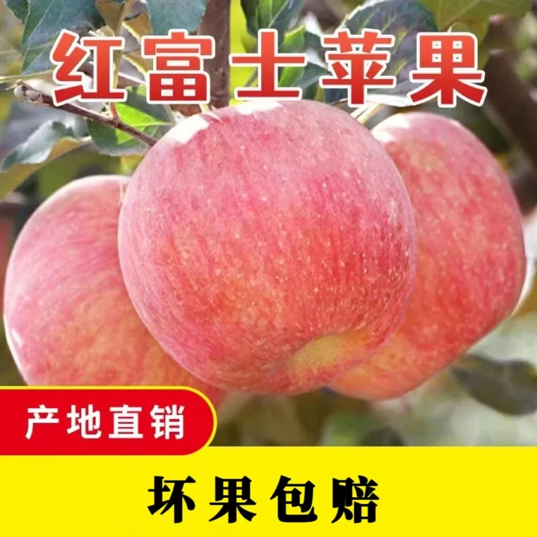 产地直发富士苹果山东水果一整箱