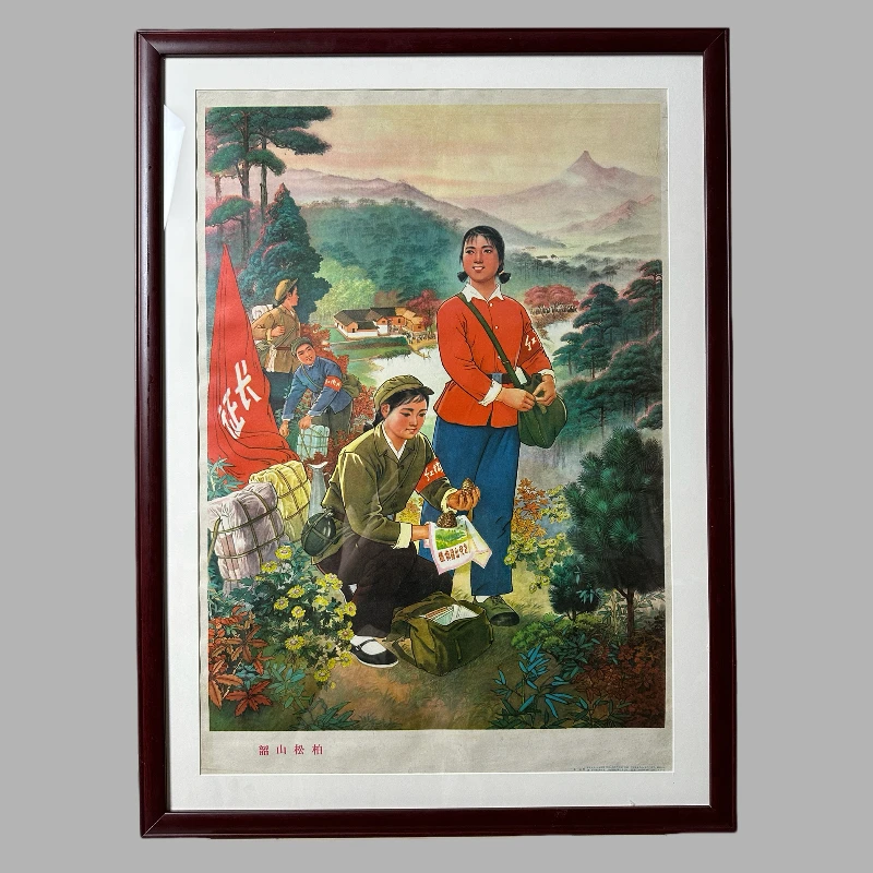 韶山松柏 特别稀缺难找 收藏价值极高 75年出版印制 保真包老