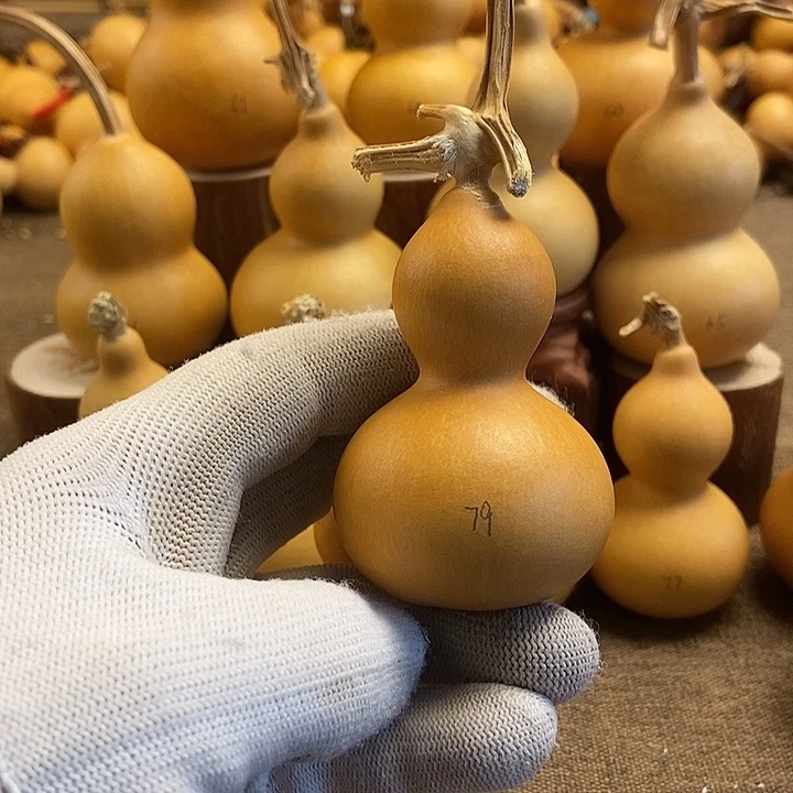 文玩葫芦 完美主义者 慎拍79