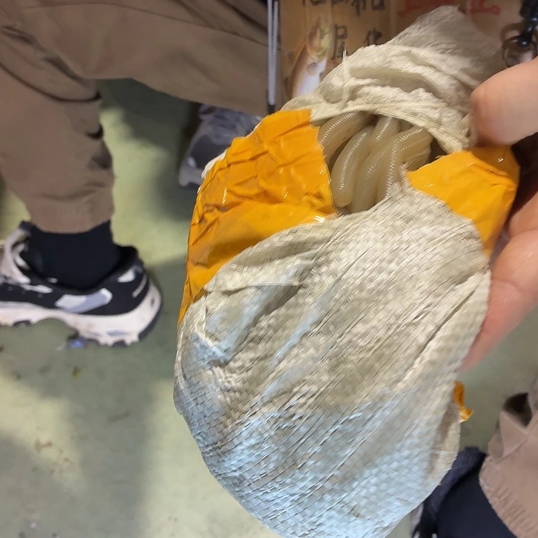 散65-全部颜色随机