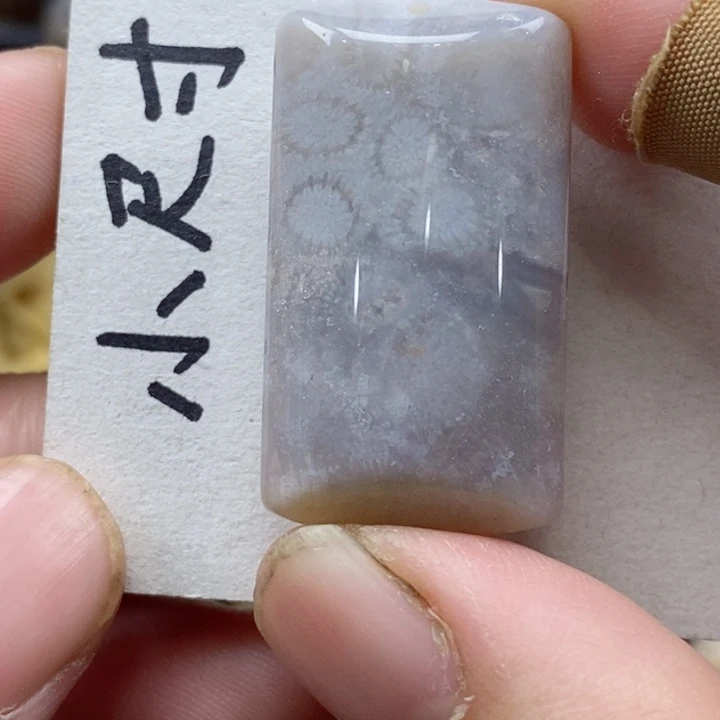 颈饰未镶嵌硅化珊瑚（珊瑚玉）