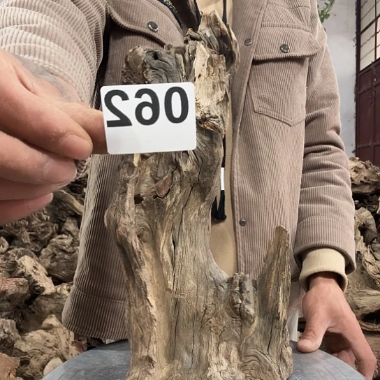 李****)紫砂噜啦啦啦啦啦啦