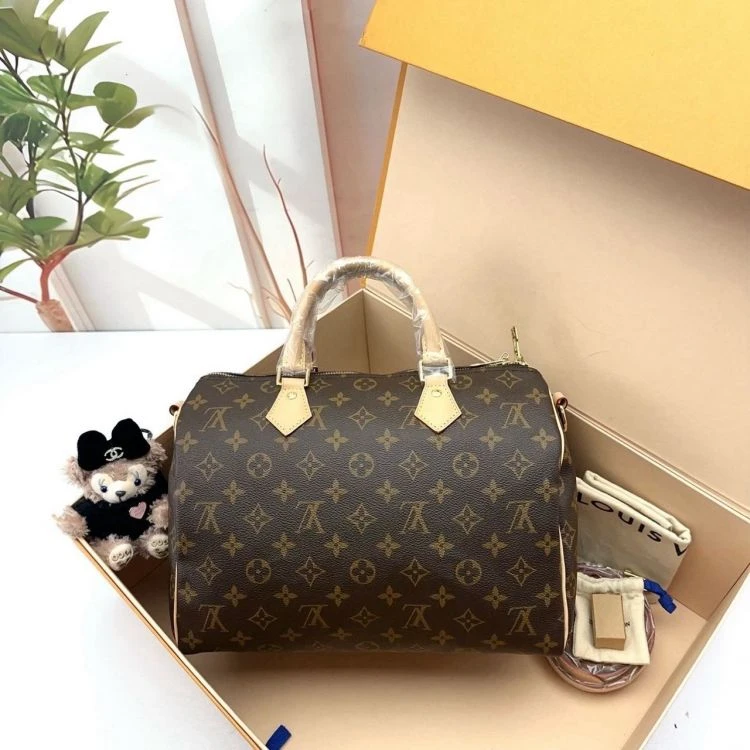 未使用 LouisVuitton/路易威登 单肩包/C533333710/[251227SSS]