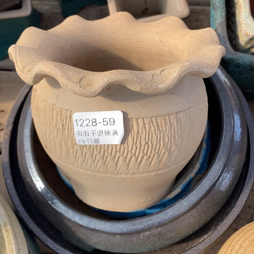 59号花盆内9高12花盆