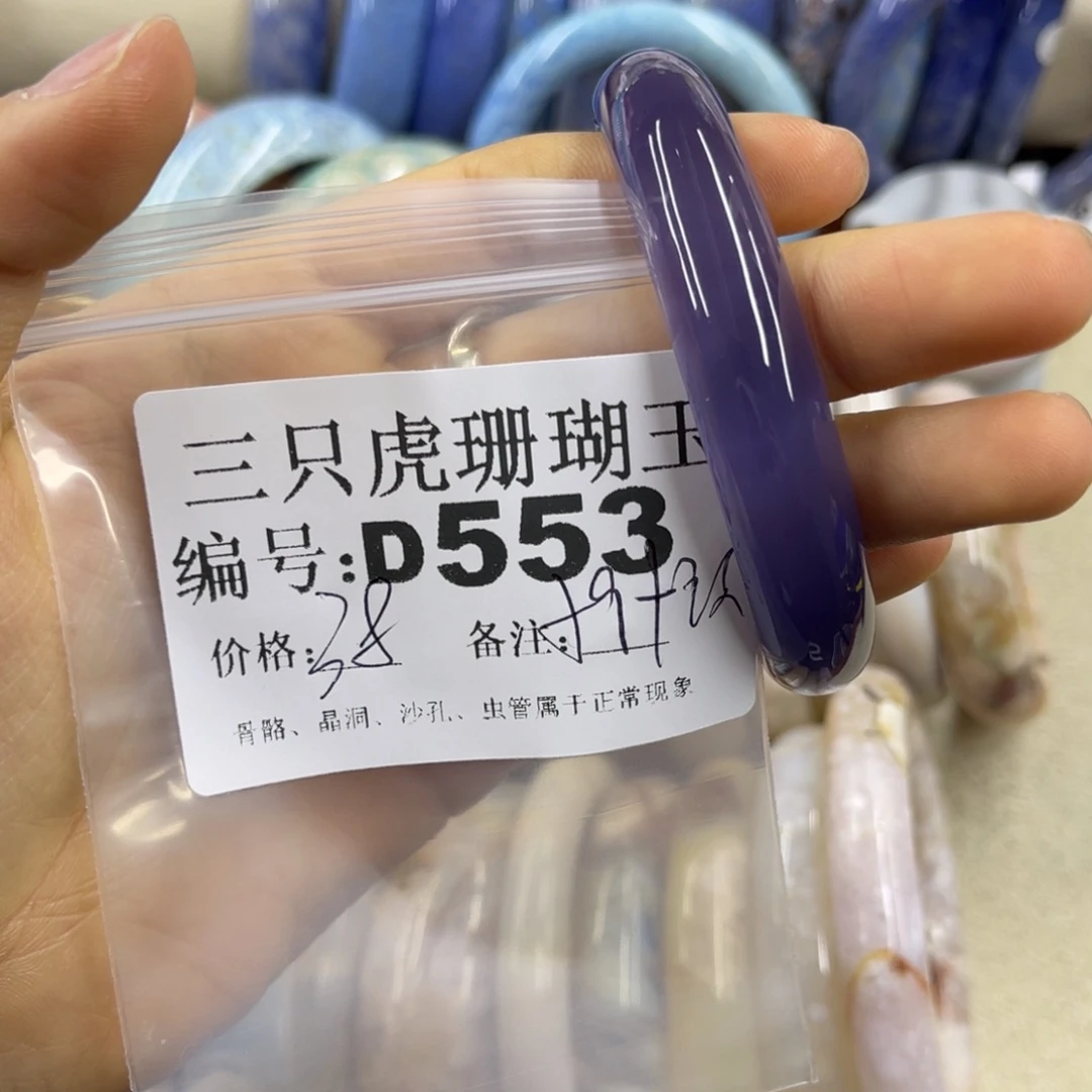 一***海硅化珊瑚（珊瑚玉）未镶嵌h