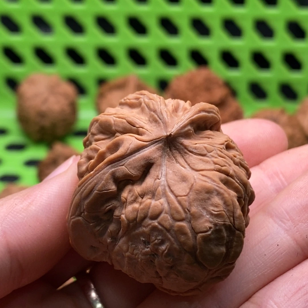 静***朗核桃定制商品不退不换