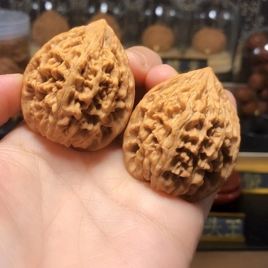 野生小众：秦鸡全品