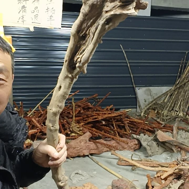稳定木用****4贵州檬子木   铁马鞭   根艺  半成品