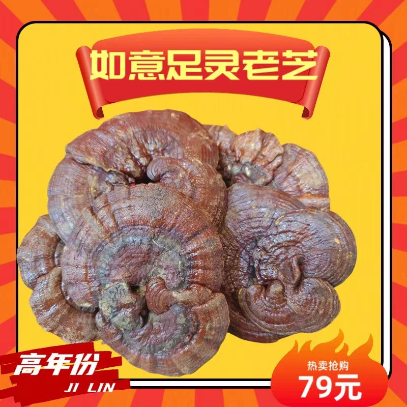 【如意足龄老芝】长白山特产整支精品赤灵芝参泡酒