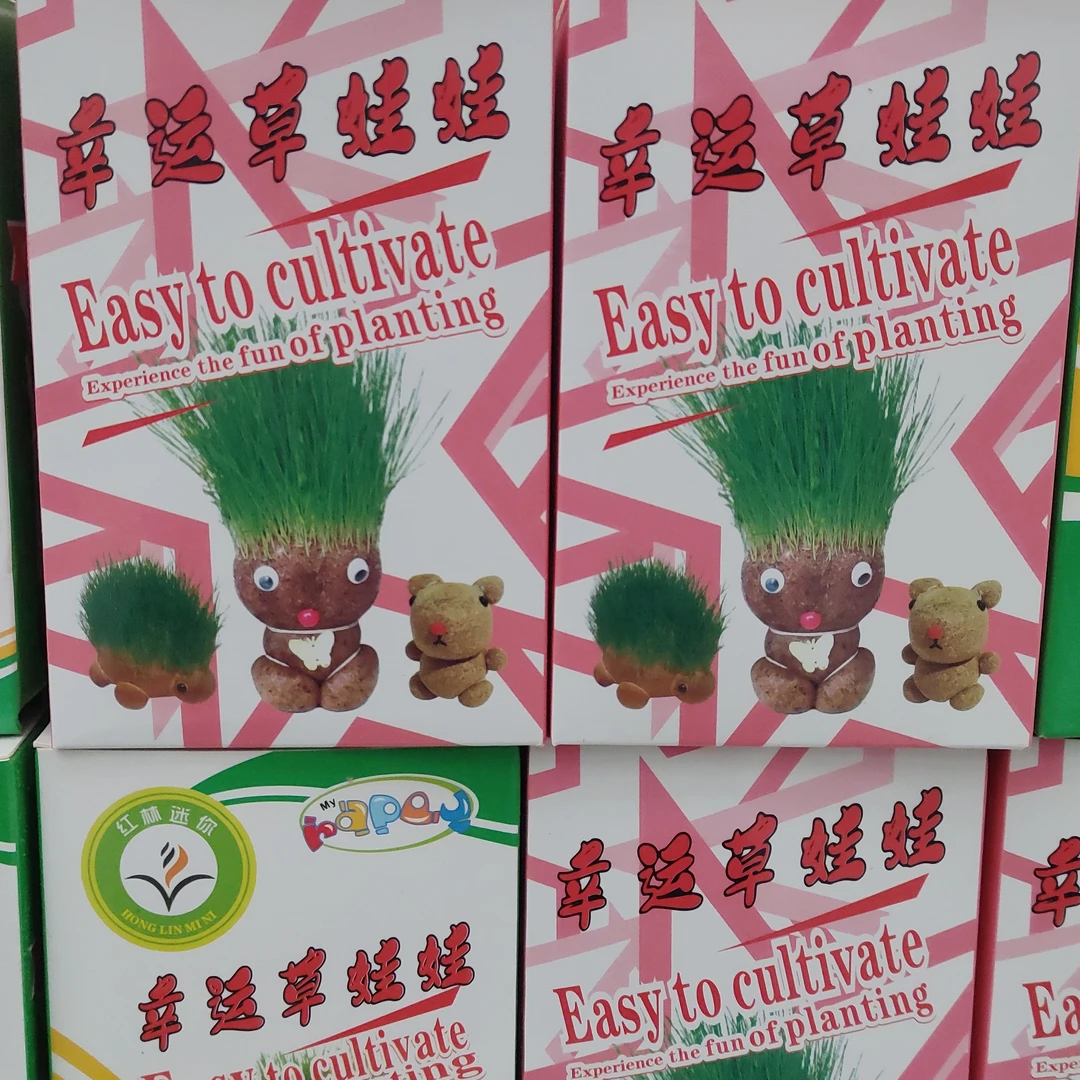 可爱草头娃娃小盆栽创意种植迷你绿植