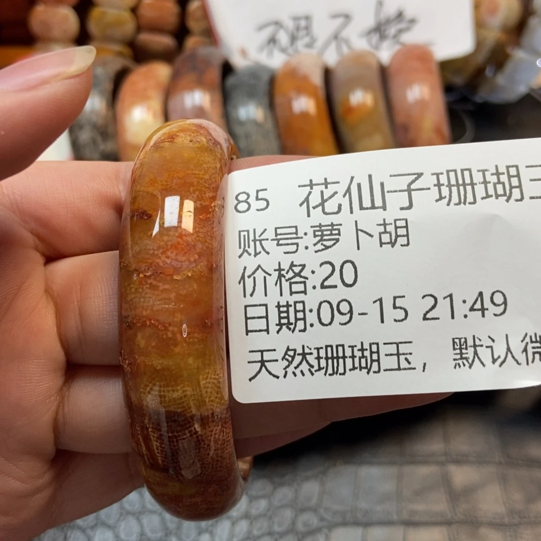 萝***胡未镶嵌硅化珊瑚（珊瑚玉）珠宝半成品85