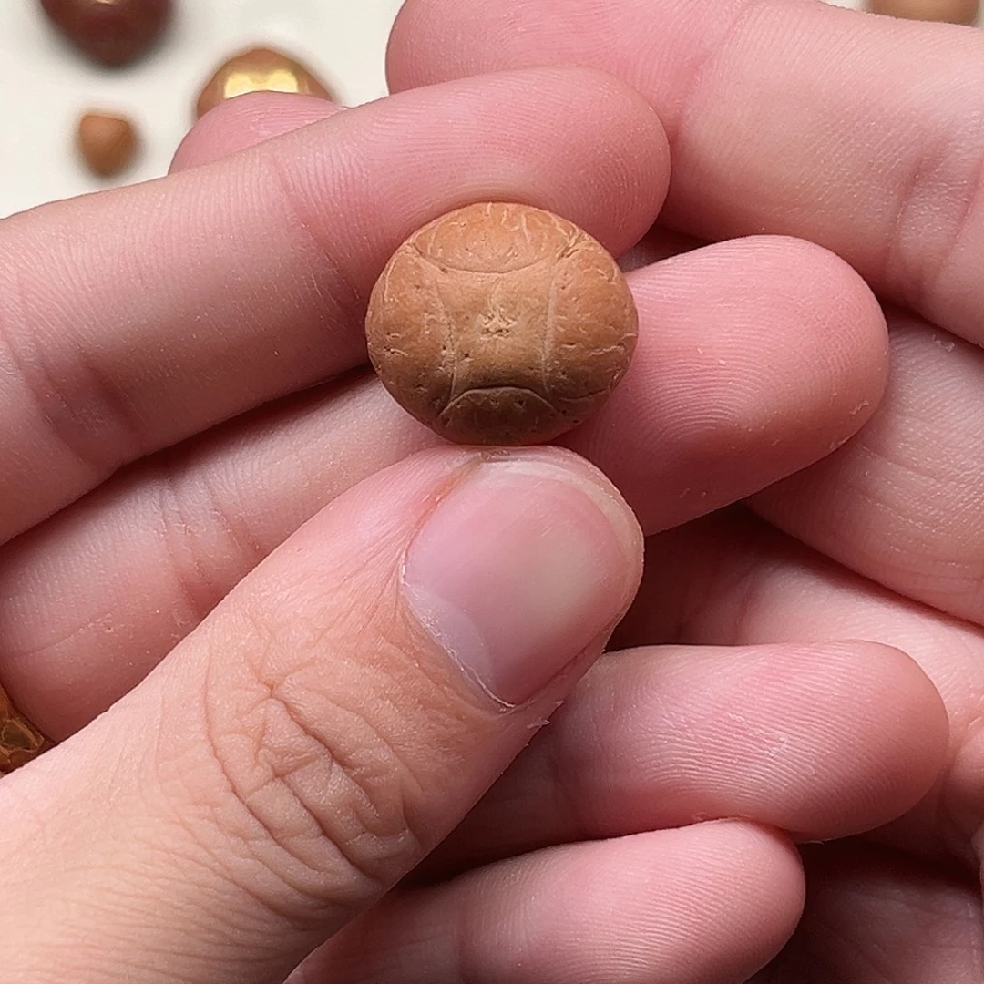 吊坠凤眼菩提18/13全品麒麟附录