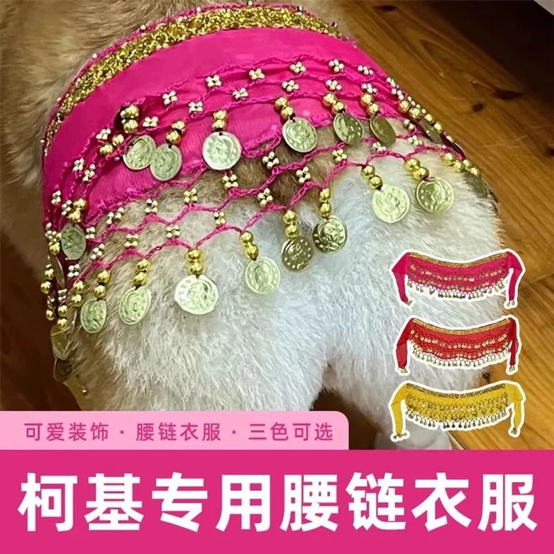 柯基专用裙子抖臀舞狗狗薄纱衣服腰链宠物可爱搞怪装饰肚皮舞裙