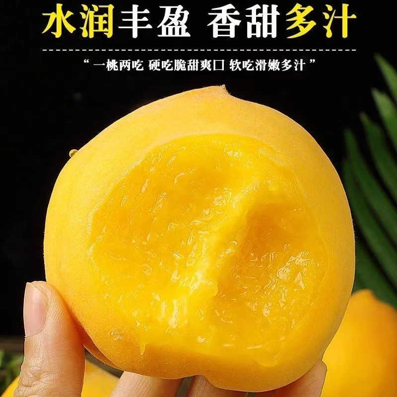 黄桃黄金蜜桃应季水果新鲜黄肉毛黄桃