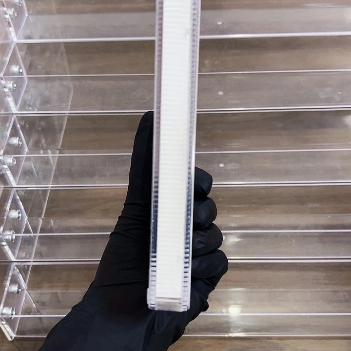 8000005 单刀 封装 百张连号