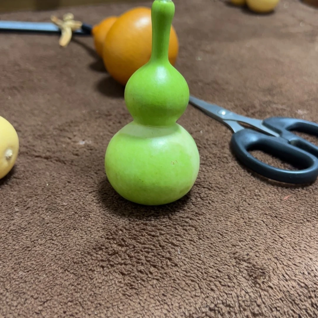 拥***梦青皮天津嘴葫芦1把保成
