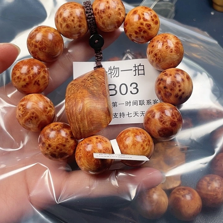 柏木（崖柏）其他嘚***生3