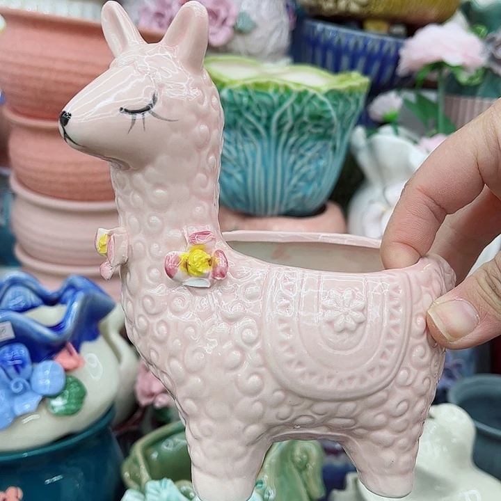 多肉植物陶瓷花盆