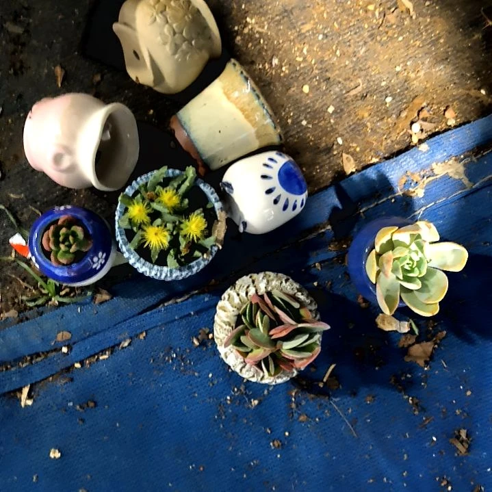 满9元包邮，，精选陶瓷盆