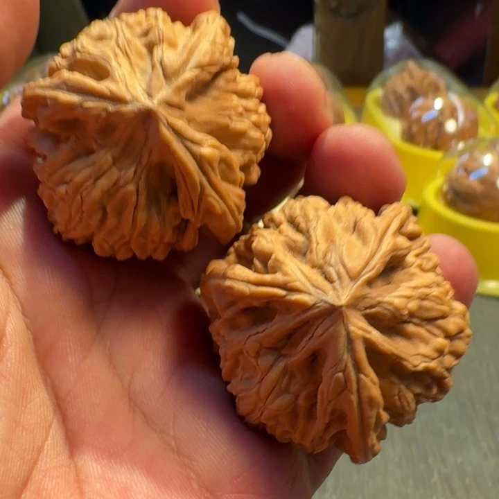 福利福利40御龙粗筋三棱
