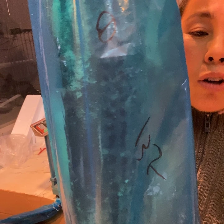 织***迷中国大陆渤海湾野生燕鲅鱼1号