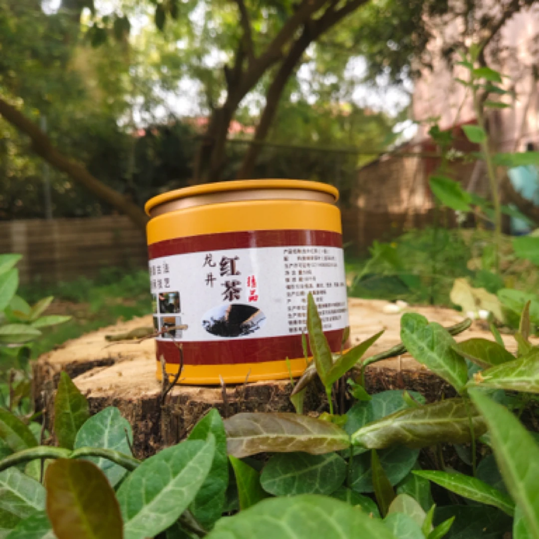 安福龙井43号明前红茶