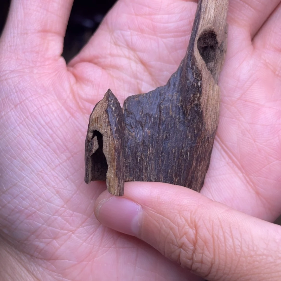 【闪购商品】香榧木海南尖峰岭树心4.7克