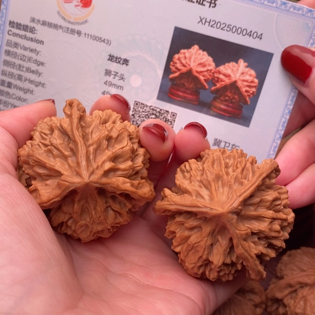 文玩核桃把件龙纹奔49