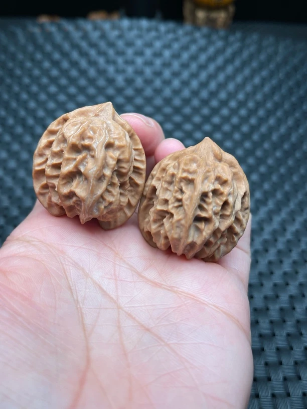 高端曹大龙，原皮原色，全品无修，边肚高36/37/40，精配对